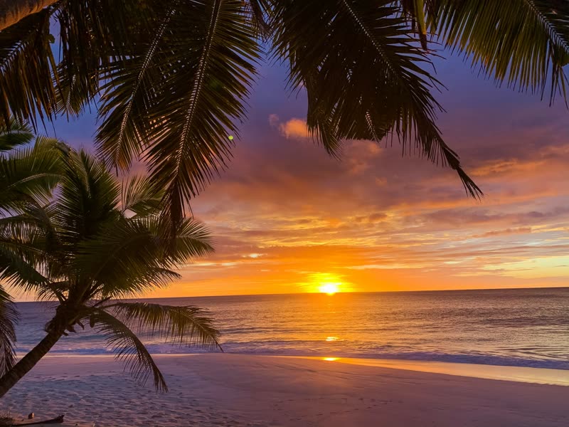 Beach escapes