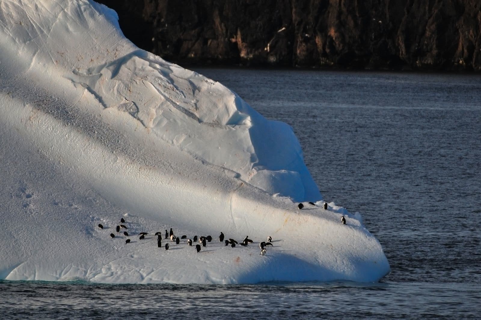 Antarctica