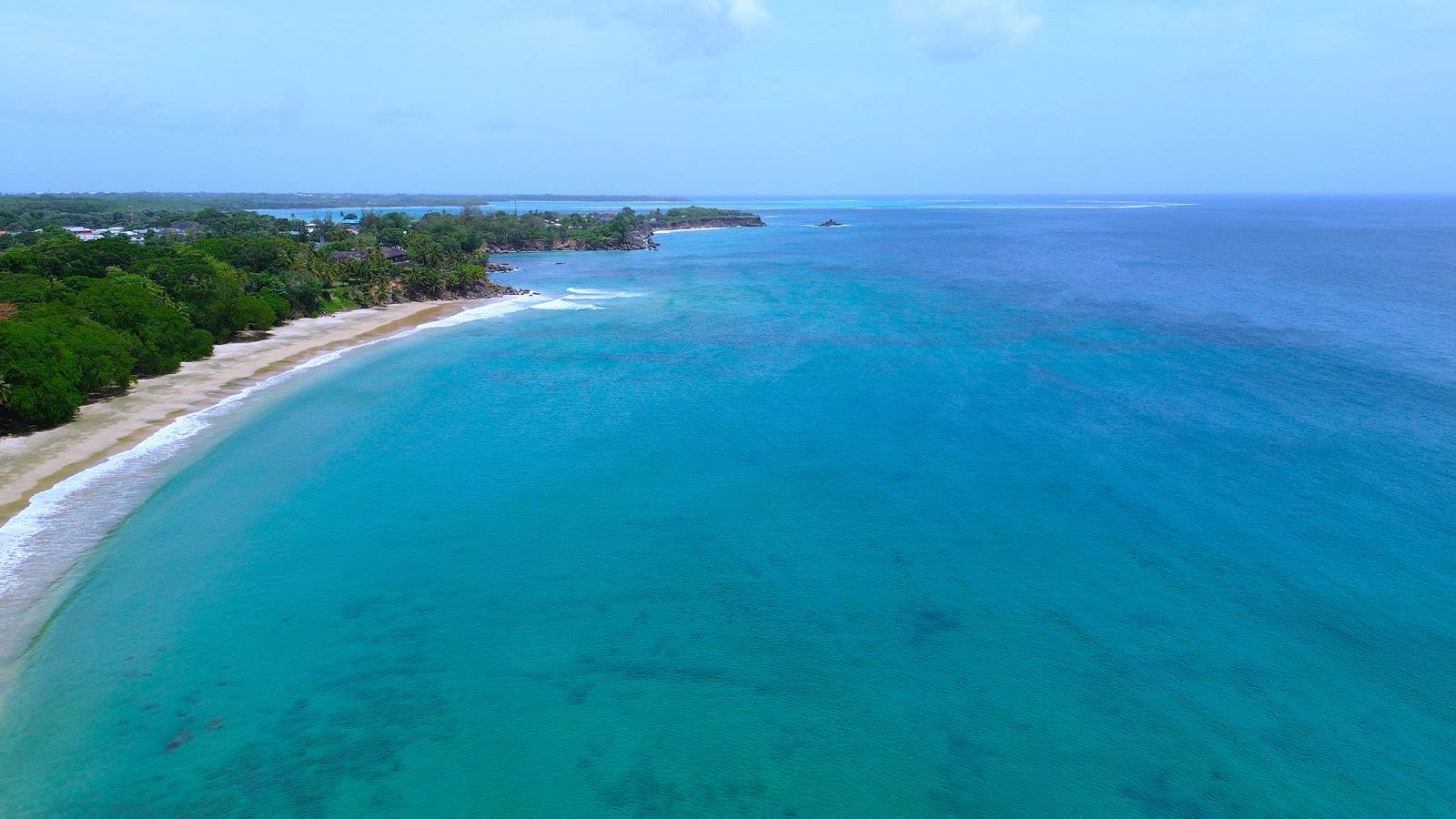The Caribbean