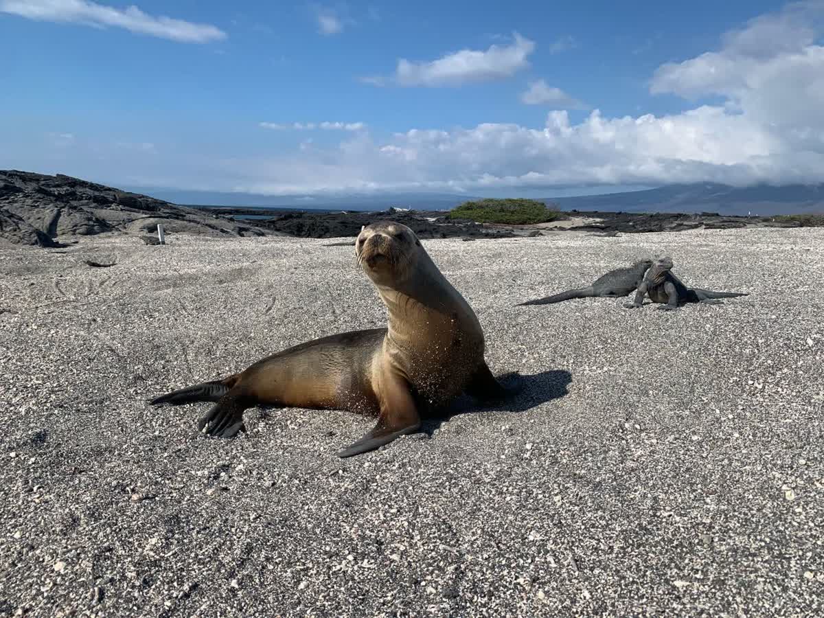 Galápagos, Ecuador