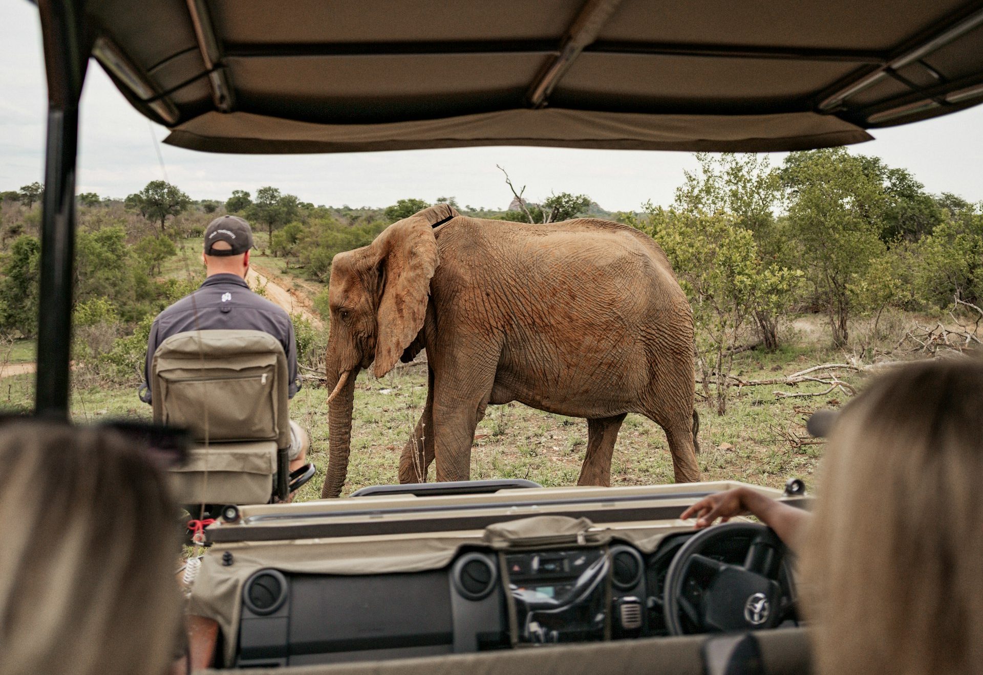 Kenya & South Africa