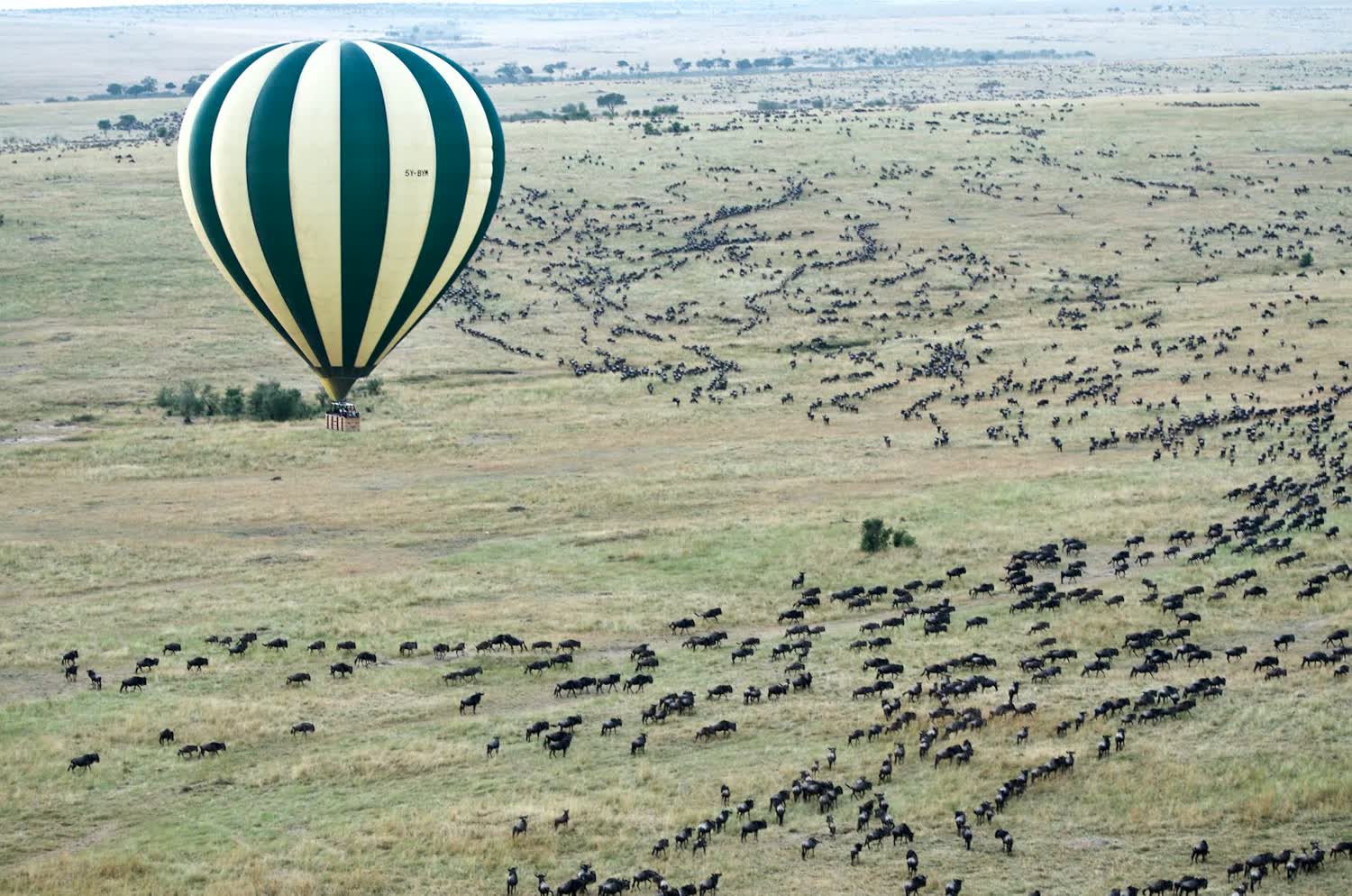 Masai Mara, Kenya