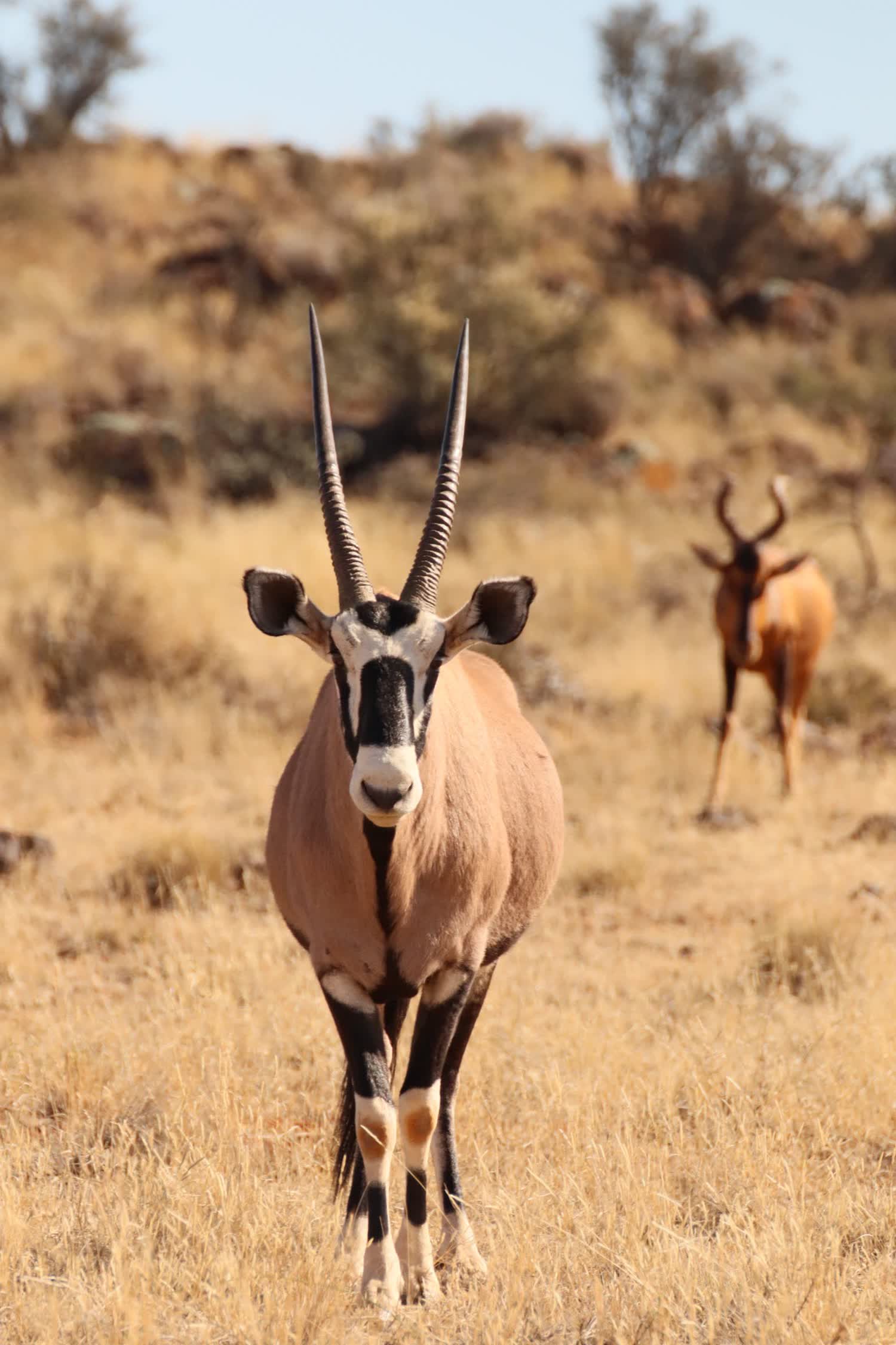 Namibia