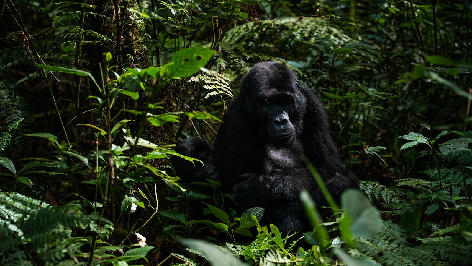 Rwanda